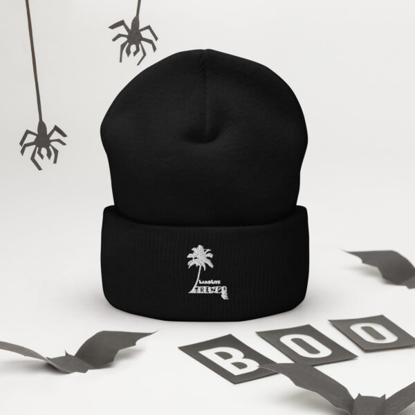 LandLife Trends Cuffed Beanie - Image 2