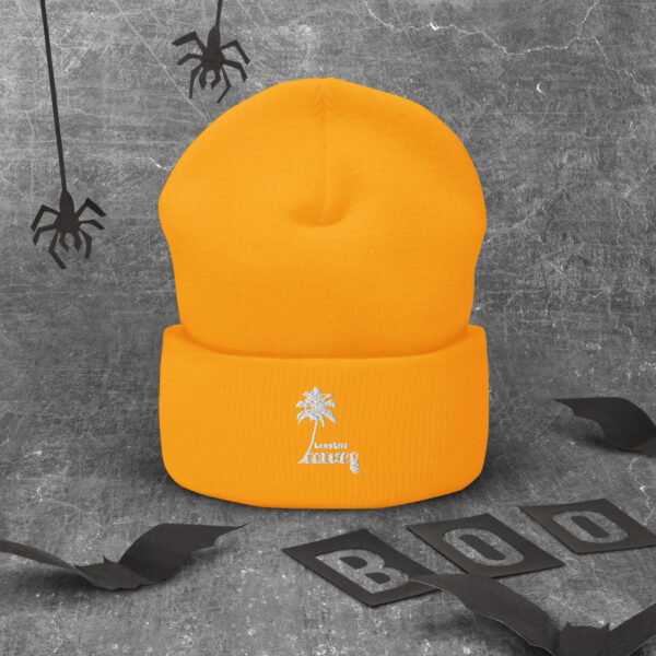 LandLife Trends Cuffed Beanie - Image 13