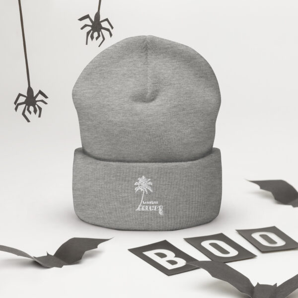 LandLife Trends Cuffed Beanie - Image 12
