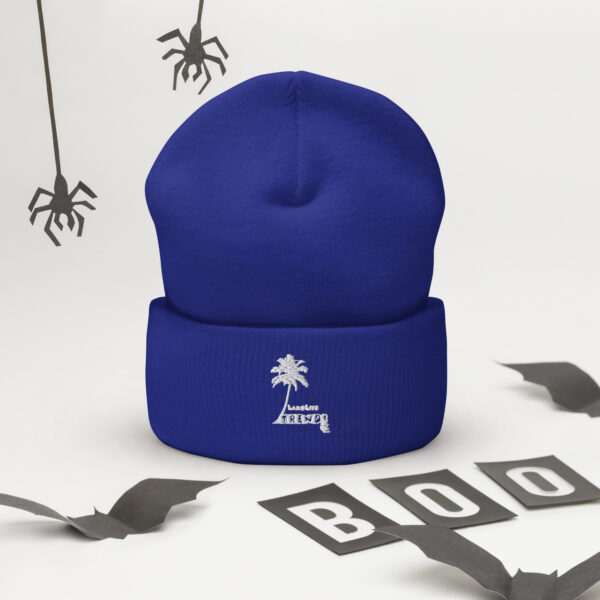 LandLife Trends Cuffed Beanie - Image 6