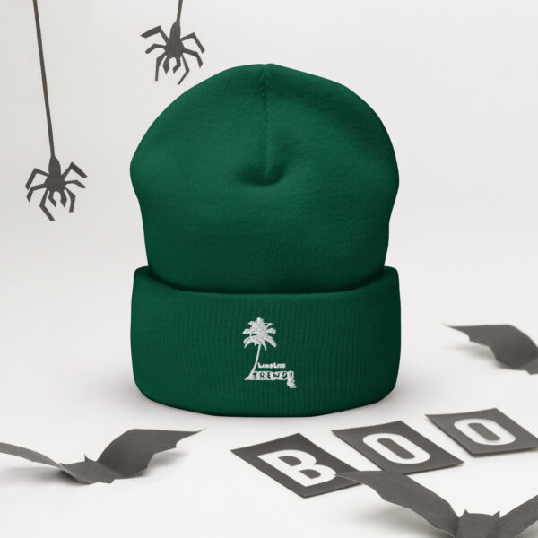 LandLife Trends Cuffed Beanie - Image 10