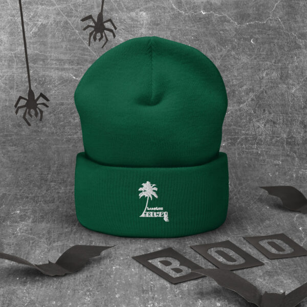 LandLife Trends Cuffed Beanie - Image 9