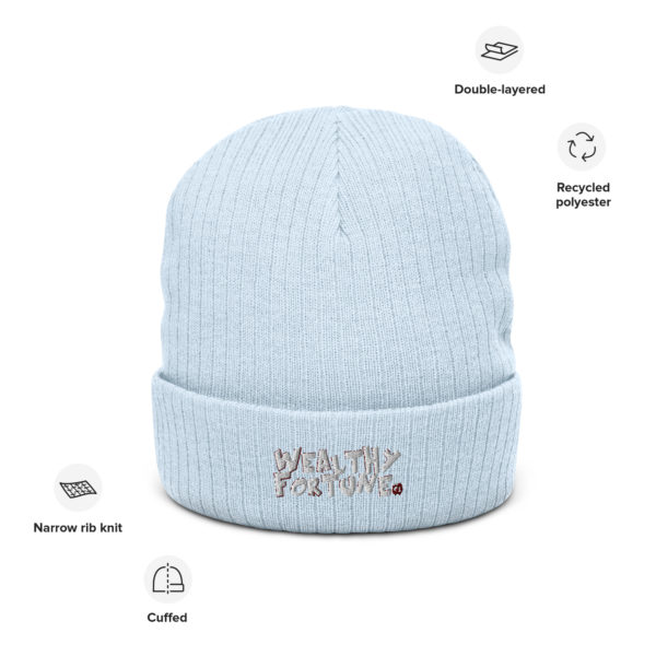 Wealthy Fortune #TrendsBrand Ribbed knit beanie - Image 7