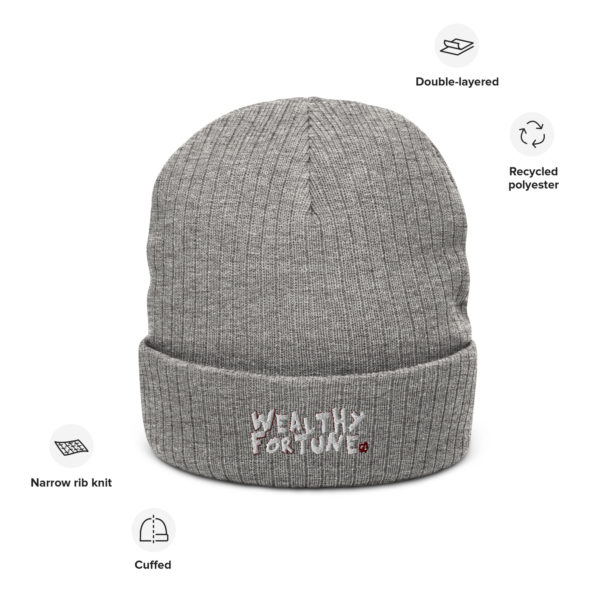 Wealthy Fortune #TrendsBrand Ribbed knit beanie - Image 5