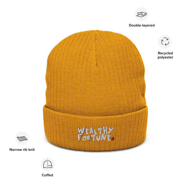 Wealthy Fortune #TrendsBrand Ribbed knit beanie - Image 4