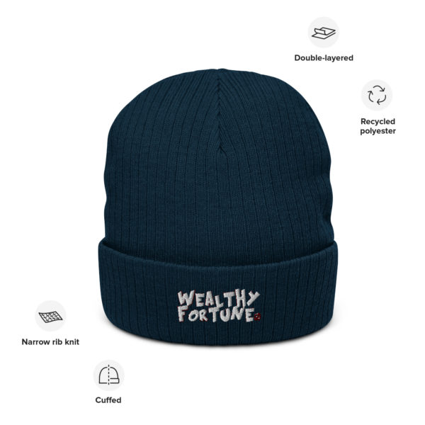 Wealthy Fortune #TrendsBrand Ribbed knit beanie - Image 2