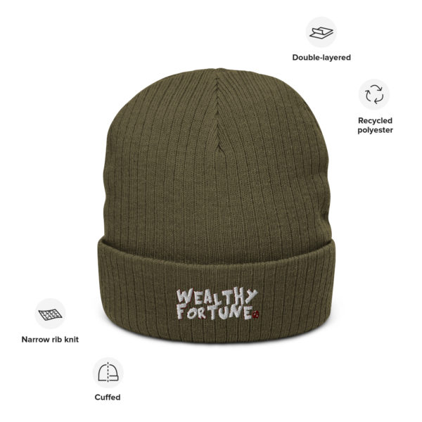 Wealthy Fortune #TrendsBrand Ribbed knit beanie - Image 3